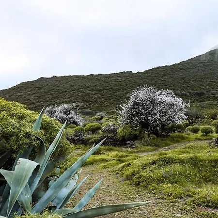 Luxury In Nature With Swimming Pool Tenerife, Santiago Del Teide, With Sea And Mountain Views El Retamar